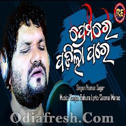 Premare Padila Pare - Human Sagar